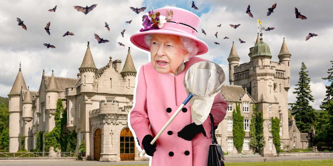 Queen Elizabeth Has Been Known to Catch Bats in a Butterfly Net at Balmoral Castle