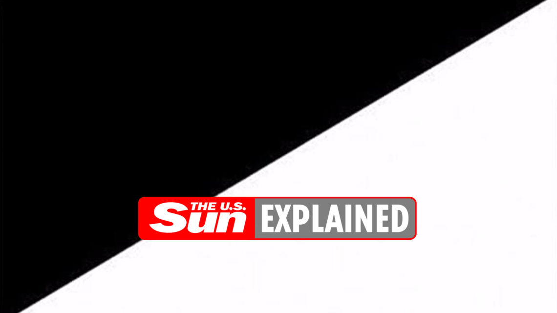 What is the black and white flag in F1 racing?