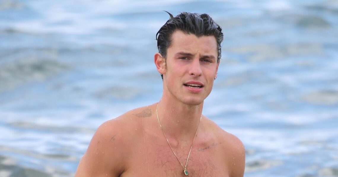 Suns Out, Tops Off! See Shirtless Photos Of Shawn Mendes, Cristiano Ronaldo & More Hollywood Hunks