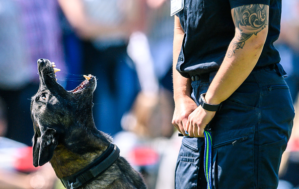 Georgia Man To Sue Police Department After Suffering 40 Bites From K-9 During Wrongful Arrest