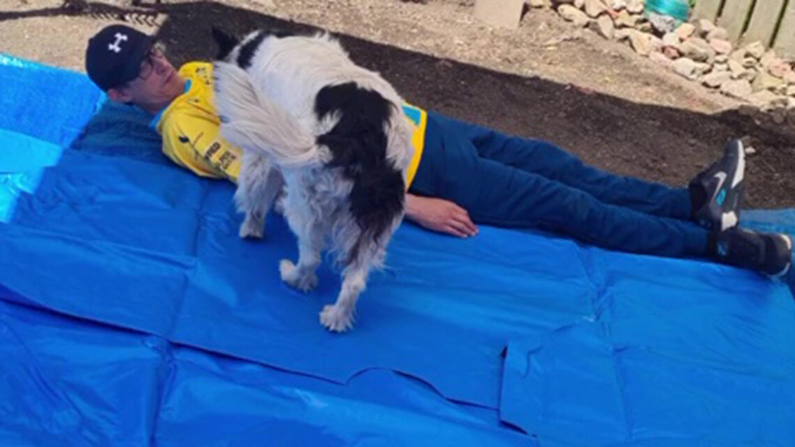 My ‘numpty’ man got a deal on a new paddling pool after our one burst – what turned up was more than ‘a little bigger’