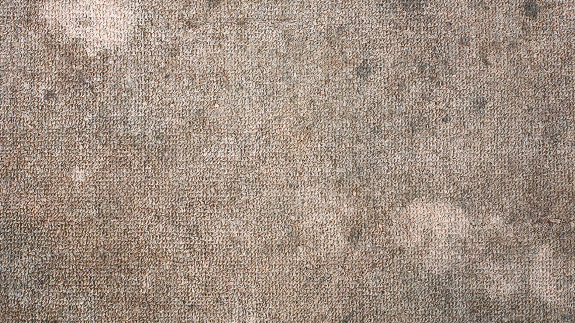 Mrs Hinch fans go crazy over a 65p hack to get rid of stubborn stains from your carpet – & it’s sitting in your kitchen