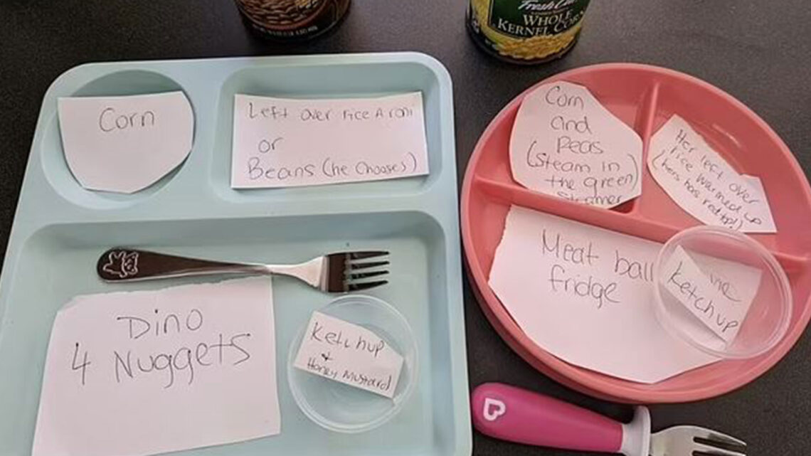 Dad shares the VERY detailed instructions his wife left for their kids’ dinner… as he admits she thinks he’s ‘an idiot’