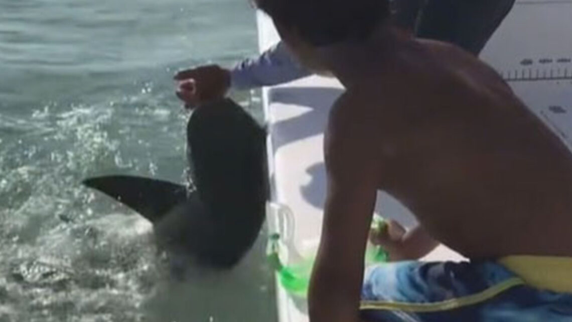 Moment shark bites fisherman in shock video showing beast’s blood-spattered jaws in latest attack off US coast