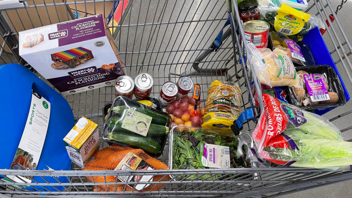 I pick up an entire food shop of more than 20 items for $72 at Aldi – cut your costs by copying my list