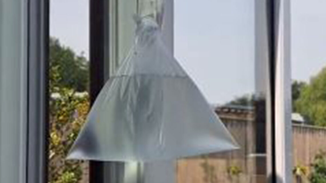 I’m a mum and my savvy hack will stop flies from coming in your home – and it’s completely free