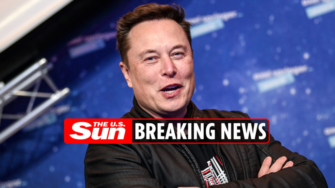 Elon Musk shares cryptic tweet about rodents after claims he ‘had affair with Sergey Brin’s wife Nicole Shanahan’