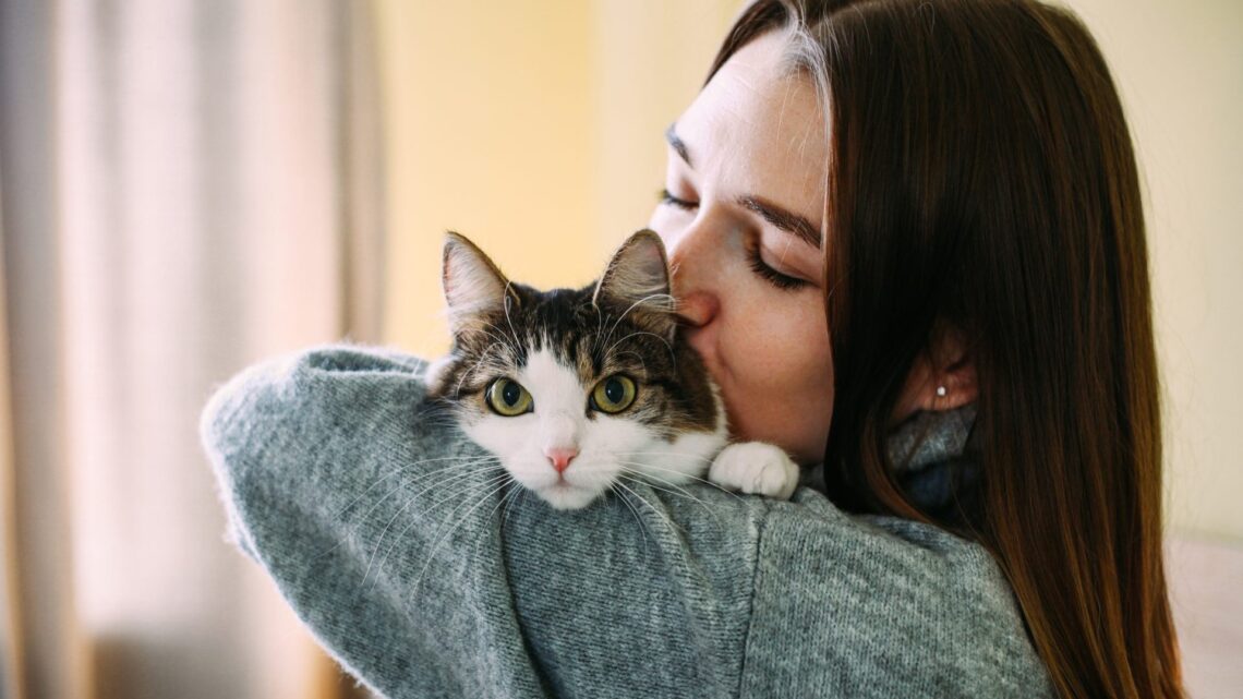 Cats know when you’re talking to them – but don’t listen to strangers