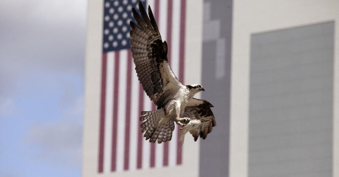 8 Reasons To Invest In Net Lease Properties Over Traditional Investments