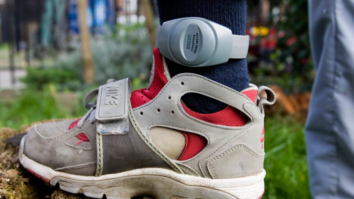 Thieves and burglars to be fitted with GPS ankle tags to cut down on reoffending