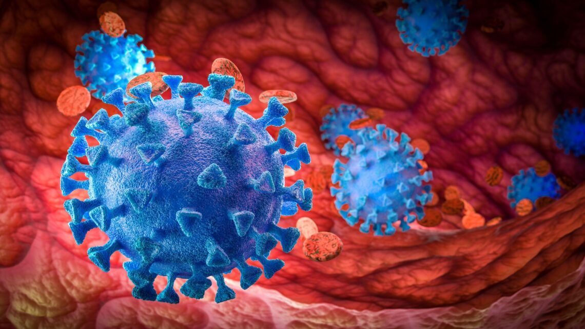 Covid patient finally cleared of virus after 411 days of testing positive