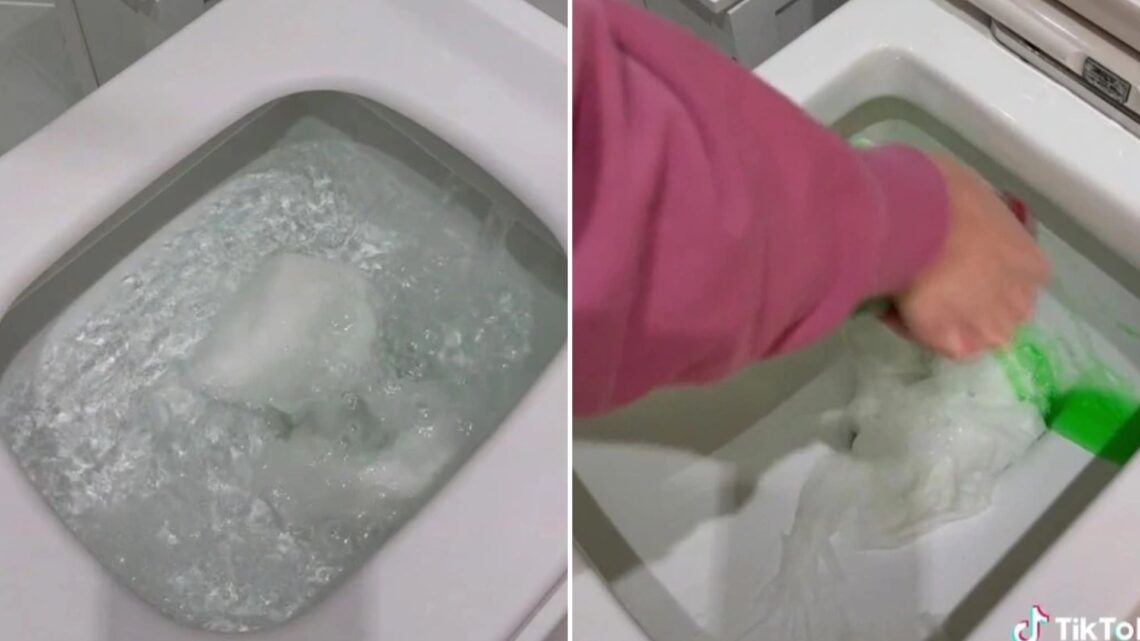 Woman shares easy hack to unblock your loo – it works every time and it’s free