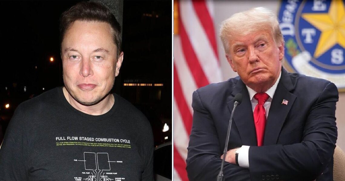 Elon Musk Declares Donald Trump & Other Banned Twitter Users Will Not Be Reinstated Before Midterm Elections