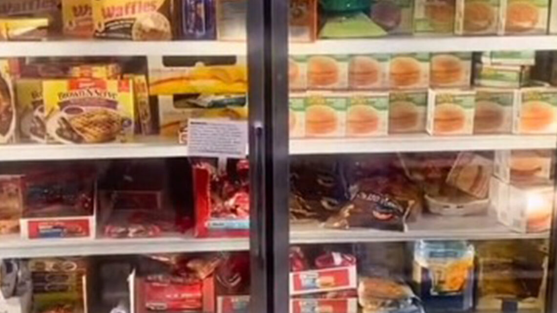 My Dollar Tree haul was $6.25 – but people couldn’t believe the dinner I was able to make out of it