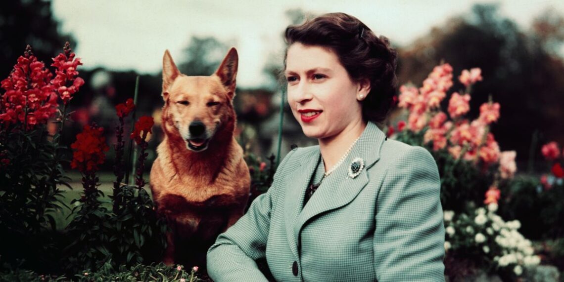 30 Photos of the Royal Family at Balmoral Castle, Queen Elizabeth’s Favorite Home