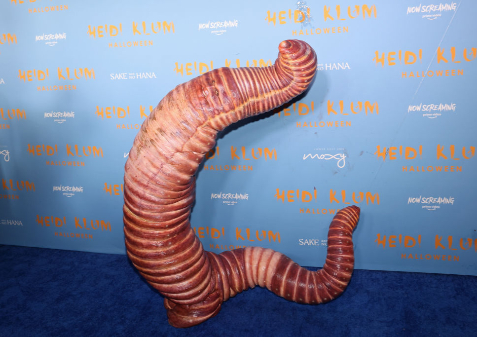 12 Most Viral Pop Culture Moments of 2022 — The Slap Uncut Gems Kim K Worm