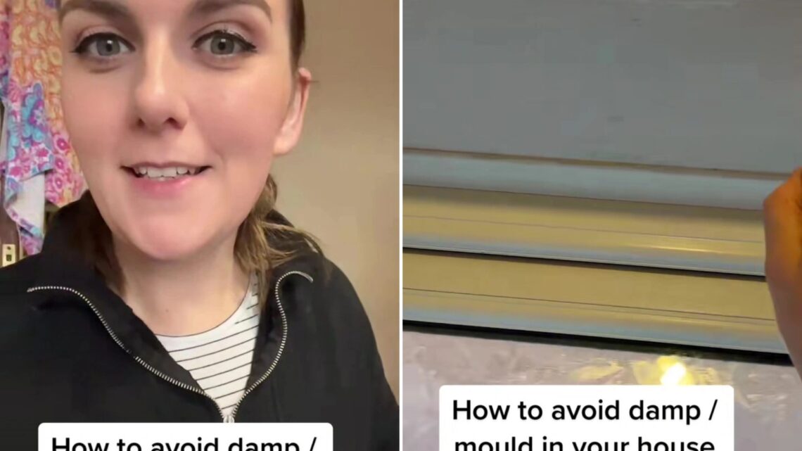 I live in a humid house, it makes your home mouldy – I’ve tried everything & have found a cheap trick to get rid of it