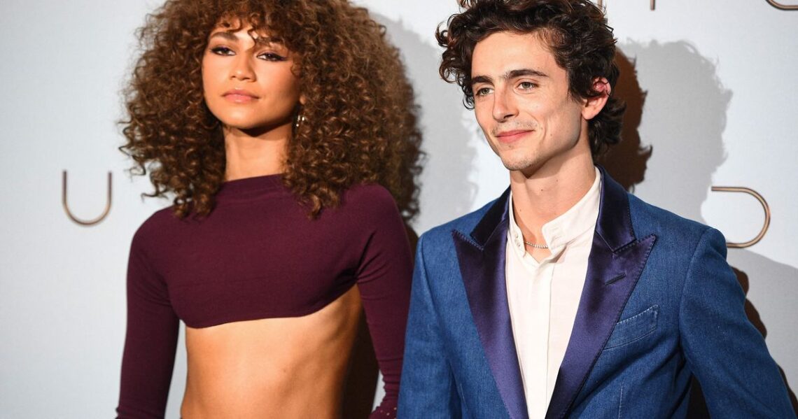 Timothée Chalamet Gushes Over Loving ‘Dune’ Costar Zendaya Like His ‘Sister’