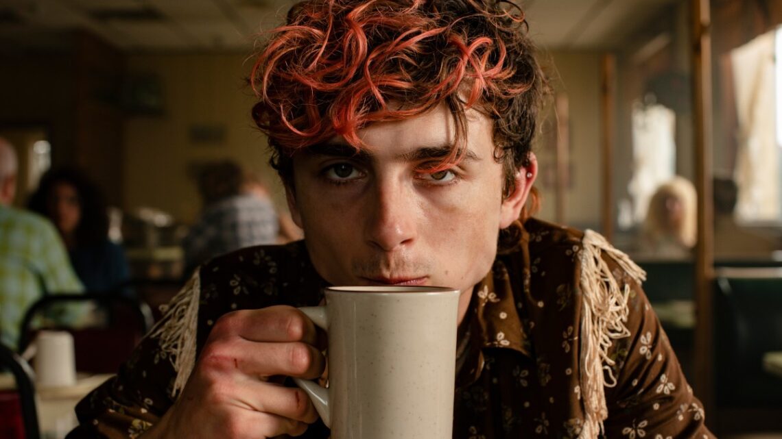 Timothée Chalamet Is a Teenage Cannibal With Good Taste in Fashion in ‘Bones and All’