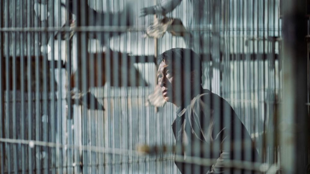 ‘Coo-Coo 043’ and ‘Limbo’ Big Winners at Taiwan’s Golden Horse Film Awards