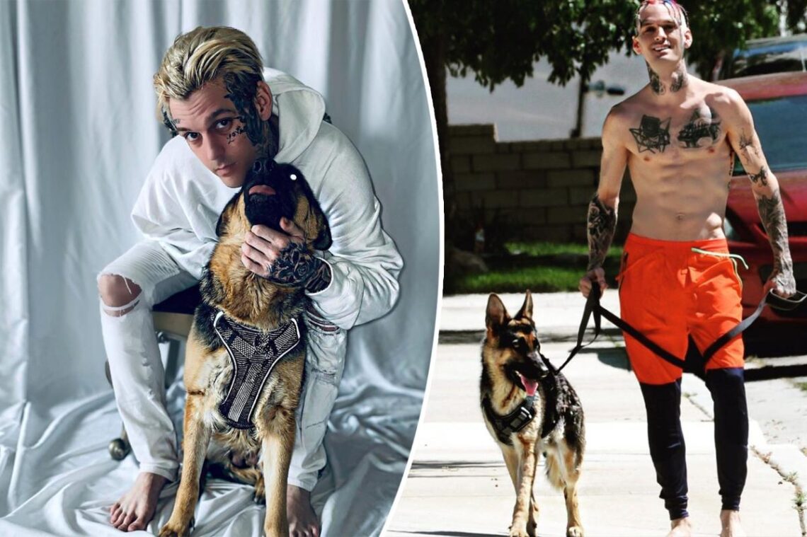 Aaron Carter’s beloved dog Zelda rehomed following singer’s death