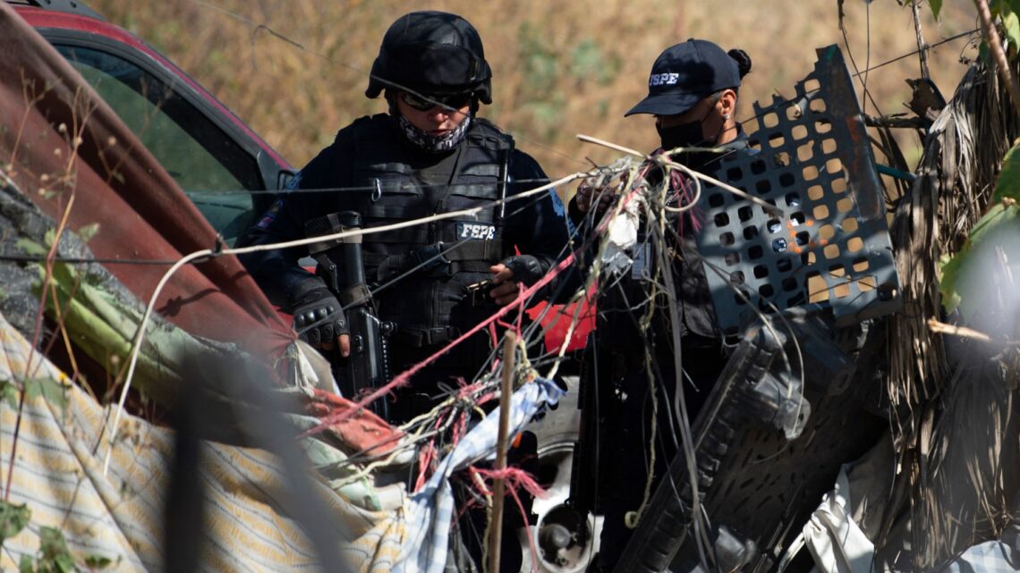 Cops find 53 BAGS of human remains at international art festival after dog spotted carrying human hand in its mouth