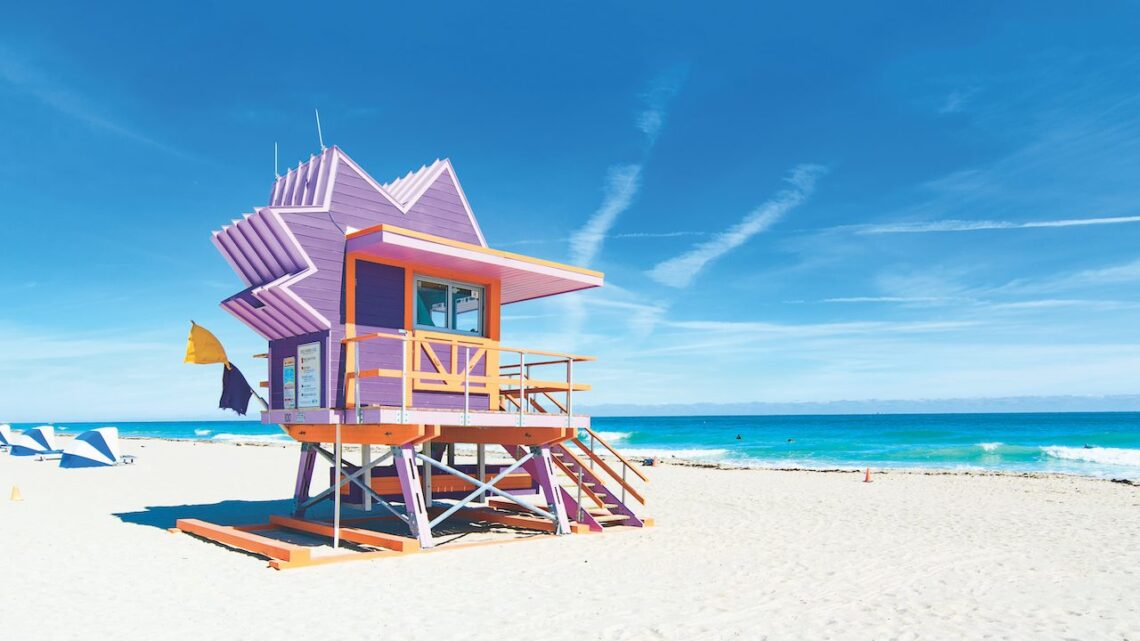 Plan the Ultimate Art Basel Miami Beach Experience with the New Edition of GRAZIA Gazette