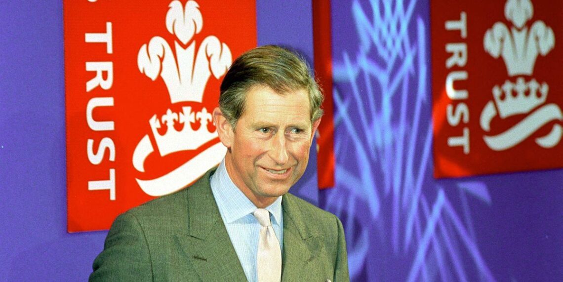 What Does The Prince’s Trust Do?