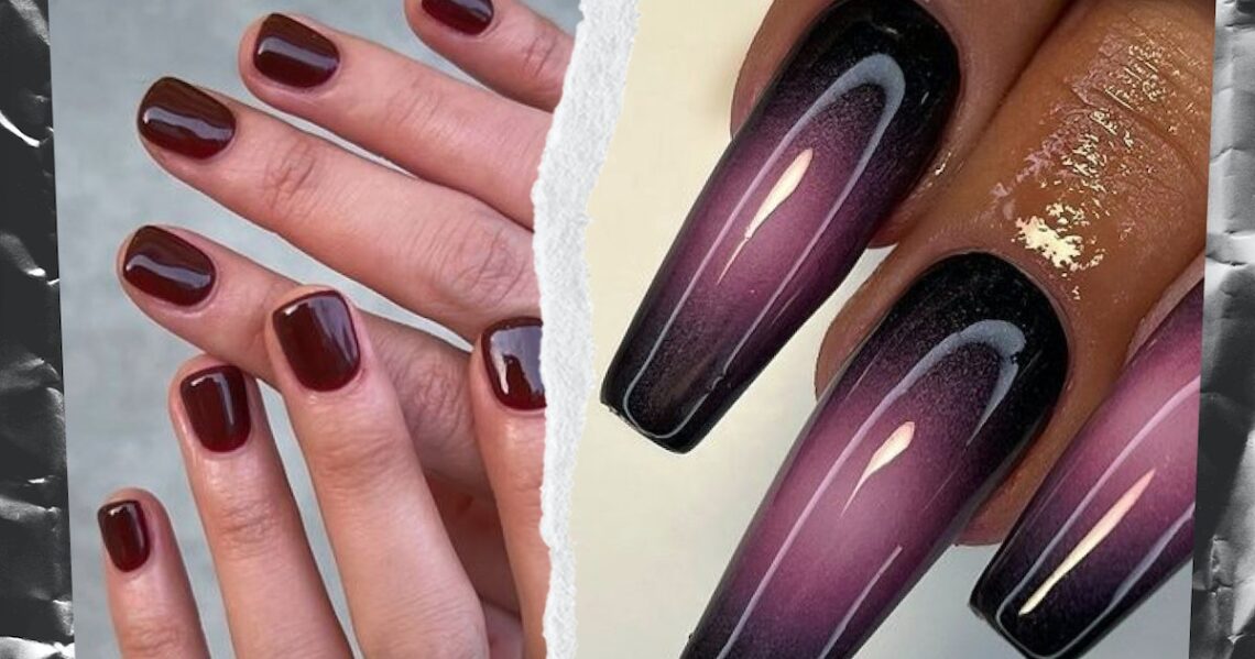 NYLON Daily Newsletter: November 25, 2022