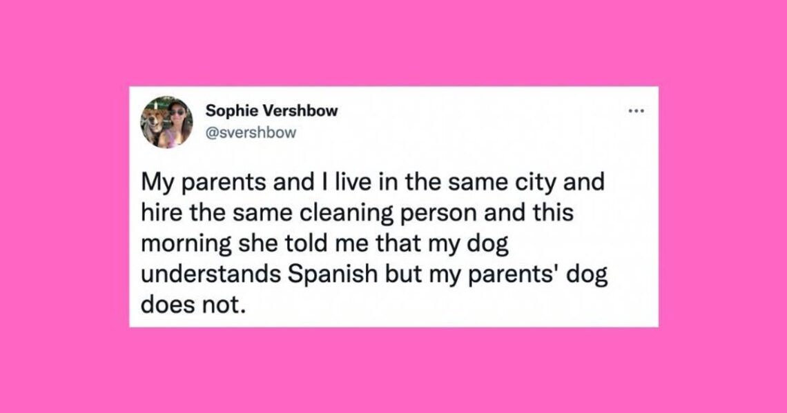 21 Of The Funniest Tweets About Cats And Dogs This Week (Dec. 10-16)