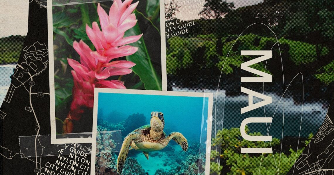 Maui Travel Guide: Where To Stay, Eat, & What To Do