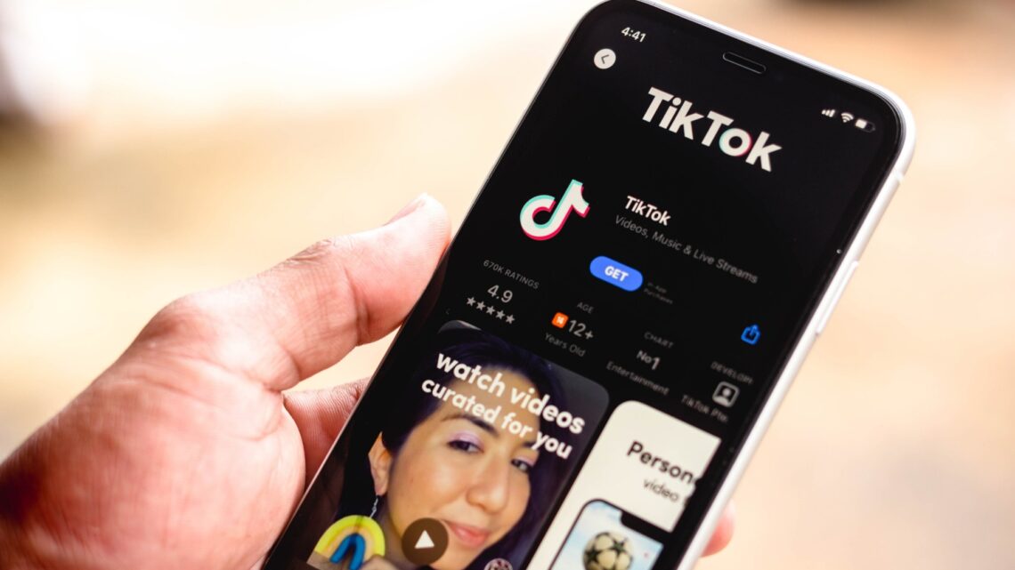 Which states banned TikTok?