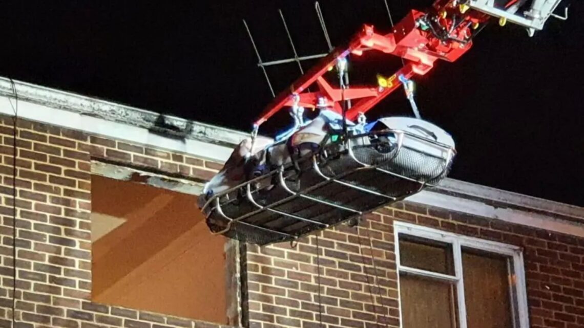 Fire crews moved record number of overweight Brits last year – with nearly 2,3K incidents filed